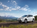 2018 Toyota RAV4b