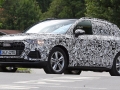 2019 Audi Q3c