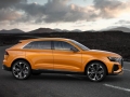 2019 Audi Q8 RS 2