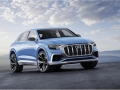 2019 Audi Q8a