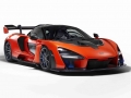 2019 McLaren Senna