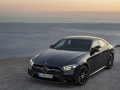 2019 Mercedes-AMG CLS 53 4Matic14